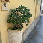 Pupatella House