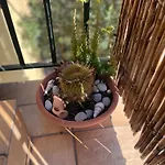 Дом отдыха Pupatella House Torca