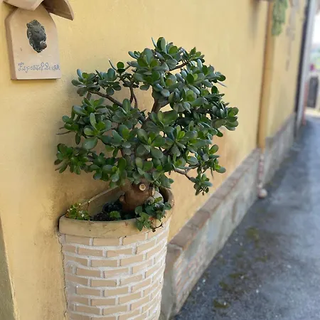 Pupatella House