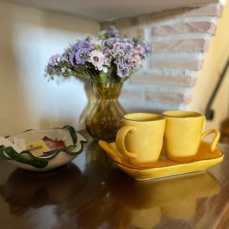 Pupatella House Torca