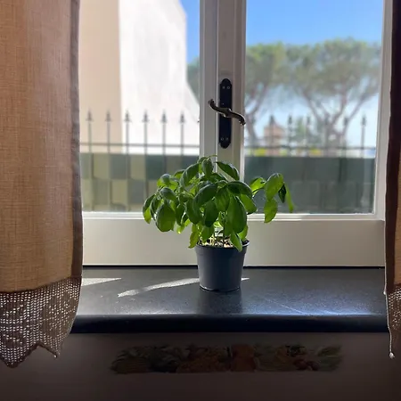 Pupatella House Holiday home *