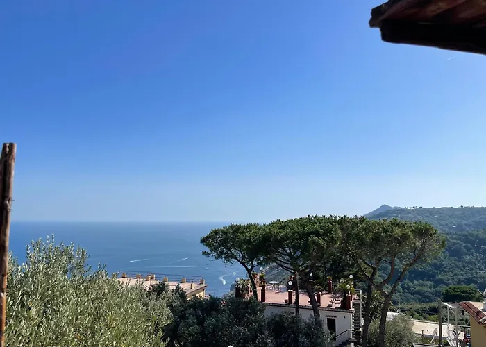 Pupatella House * Torca