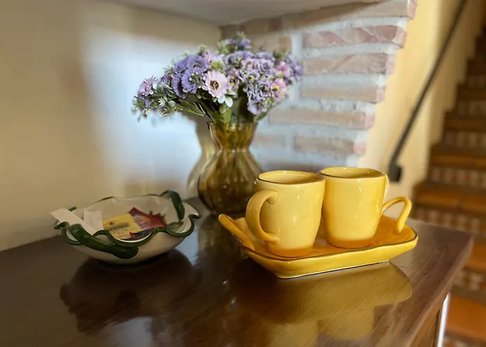 Pupatella House Torca