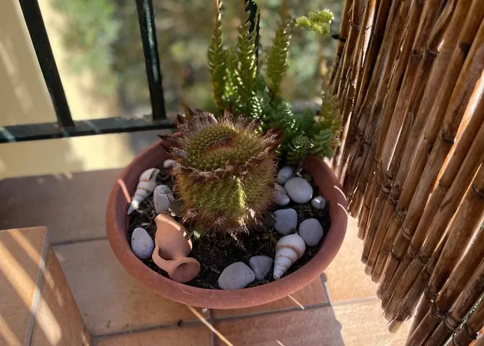 Hébergement de vacances Pupatella House Torca