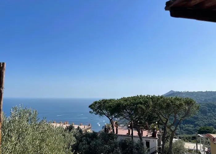 Pupatella House * Torca